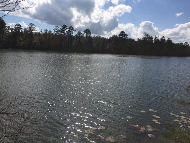 431 Us Hwy 431, Eufaula, AL 36027